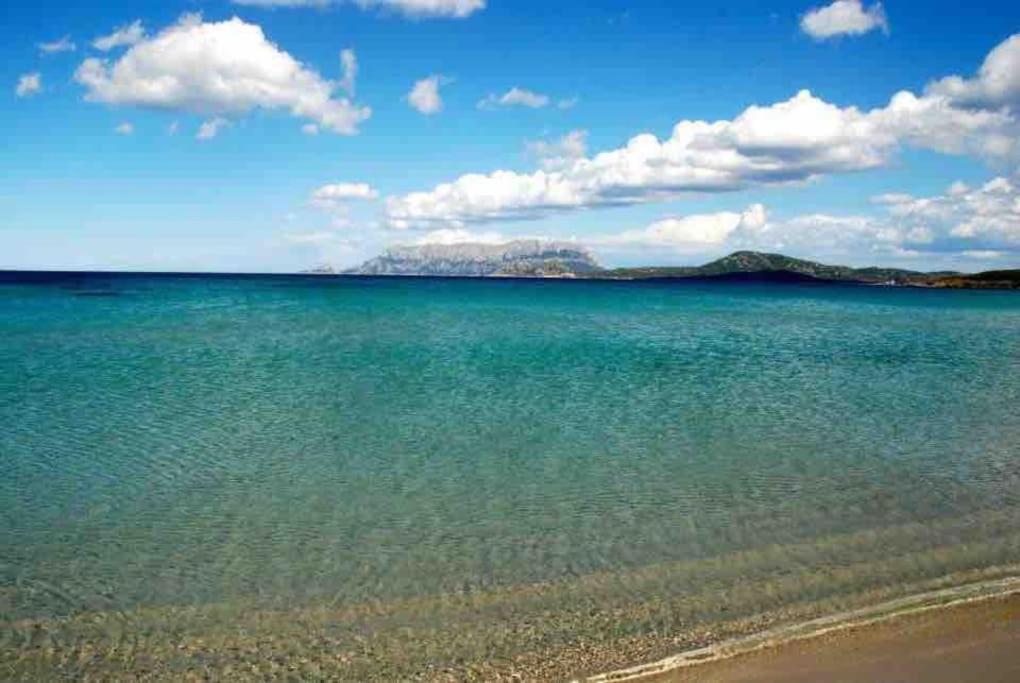 5 Minutes From The Seafront -apartment & Garden Olbia